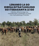 https://ciorg.imgix.net/images/default-source/publication-preview-images/ci-fact-sheet-setswana-thumbnail?&auto=compress&auto=format&fit=crop